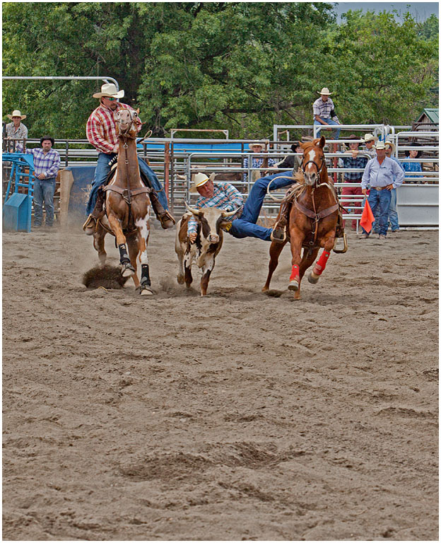 Montgomery Rodeo No 11 PRES s